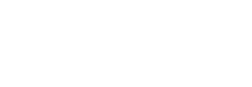 skyline-logo-white
